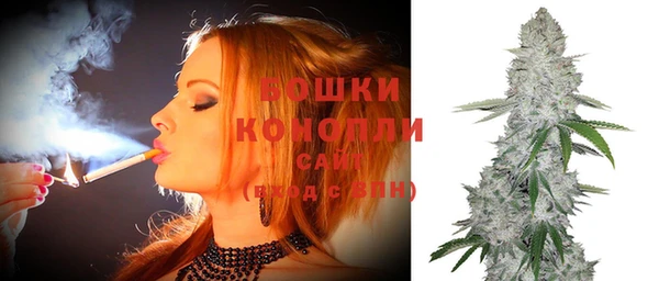 хмурый Мегион