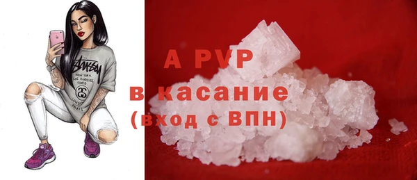 прущие крисы Бердск