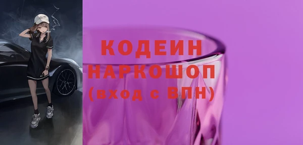 хмурый Мегион
