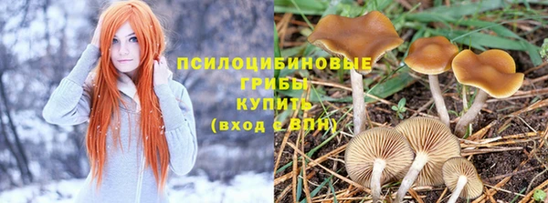 СК Магадан