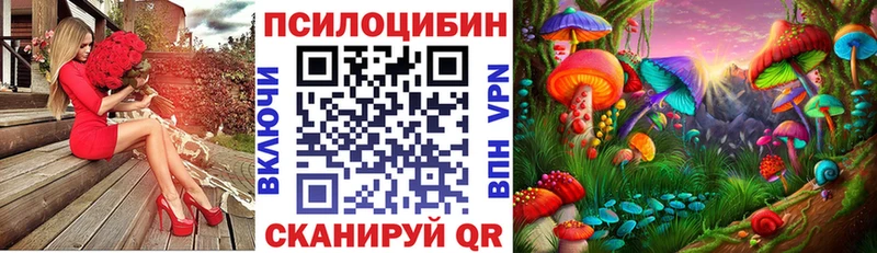 Галлюциногенные грибы Magic Shrooms  Куровское 